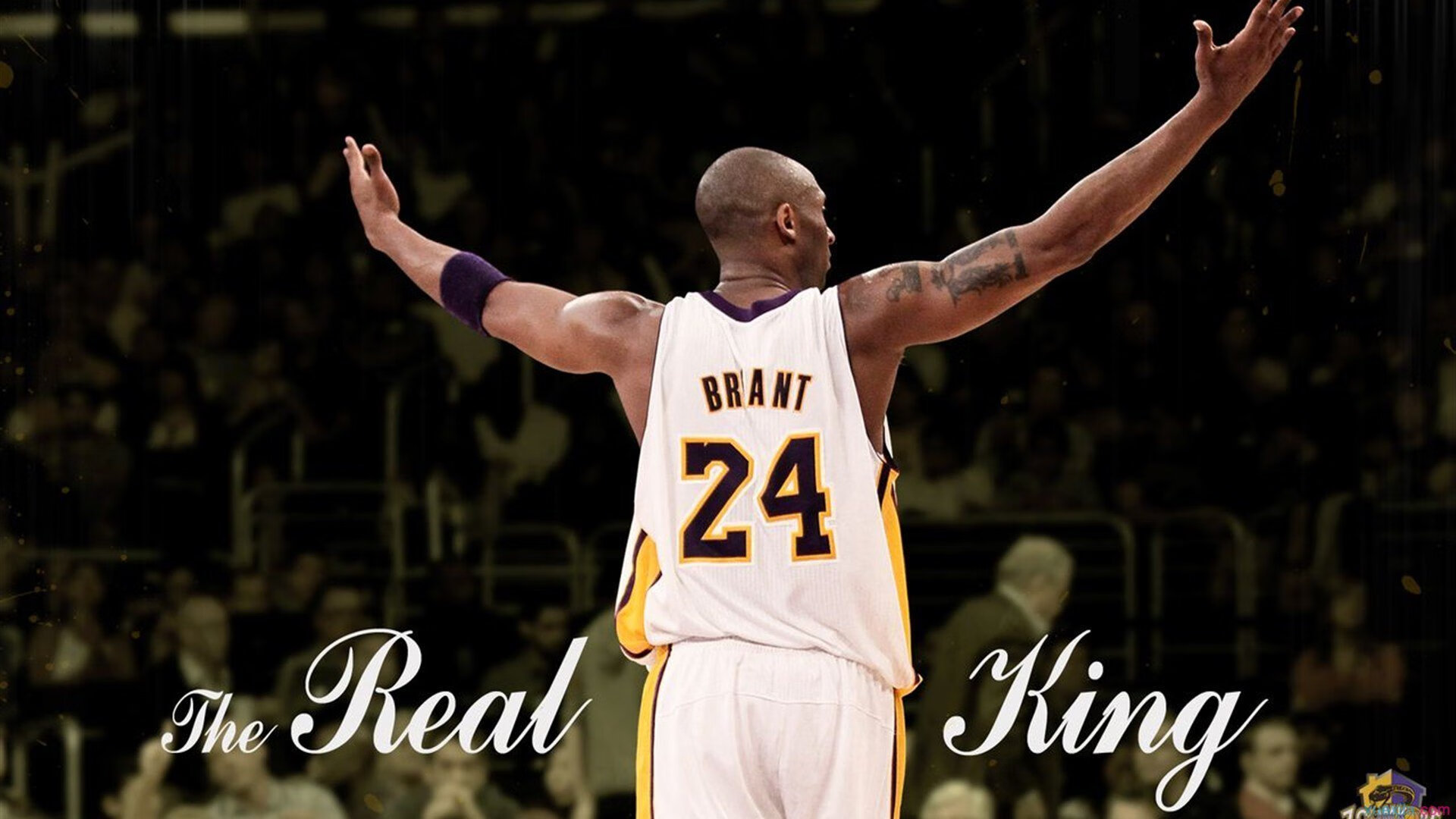 科斯用坚韧精神征服赛场挑战